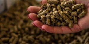 Pellet Feed