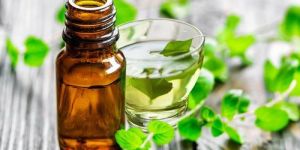 DEMENTHOLISED MINT OIL