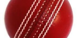 Leather Cricket Balls