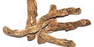Sweet Flag Root