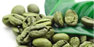 Green Coffee Beans