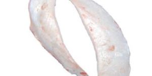 Buffalo Moon Bone