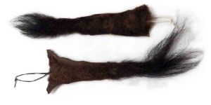 Buffalo Tail