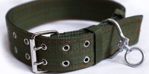 Nylon Dog Collar