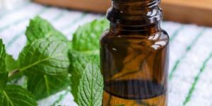 Mentha Citrata Oil