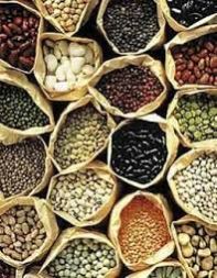 Organic Vegetable Seeds
