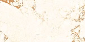 600x1200 Glazed Vitrified Glossy Series Tiles