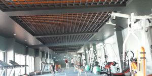 Metal Open Cell Ceiling Tiles