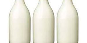Milk Bottle