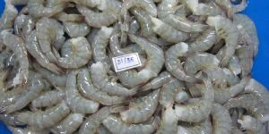 Raw Block Headless Shell on Vannamei Shrimps