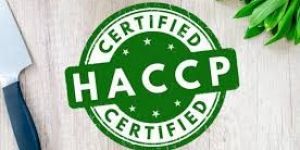 Haccp Certification Services in Delhi, Noida, Meerut, Ghaziabad, Faridabad.