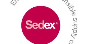 SEDEX Audit in Jaipur.