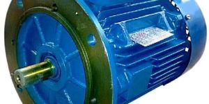 Flange Type Electric Motor
