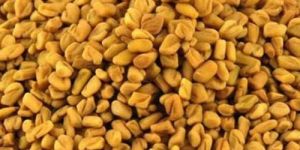 Fenugreek Seed