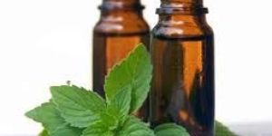 Peppermint Oil