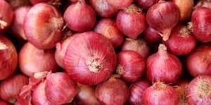 Fresh Red Onion
