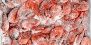 Frozen Prawns