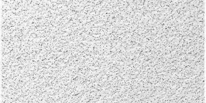 Acoustic Ceiling Tiles