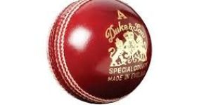 Cricket Ball
