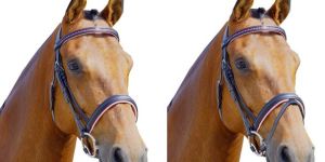 Horse Bridles