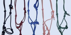 bridles & halters