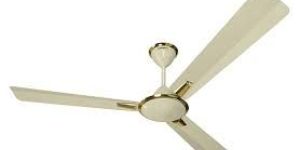 Ceiling Fan