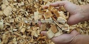 Wood Pulp
