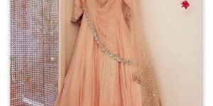 Ladies Embroidered Anarkali Suit