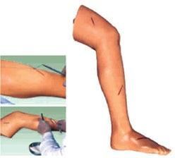 Surgical Suture Leg Model