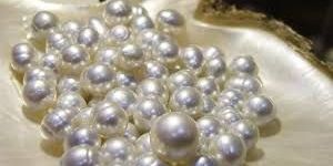 Pearl