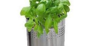 Stainless Steel Planters