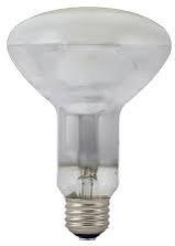 Mercury Bulb