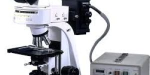 Fluorescence Microscope