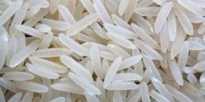 Basmati Rice