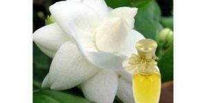 Motia Perfume Fragrance