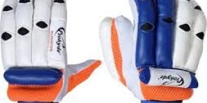 Cricket Gloves