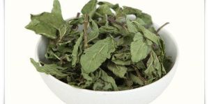 Dried Mint Leaves