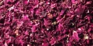 Dried Rose Petals