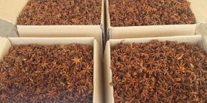 Star Anise