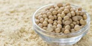 Soya Powder