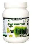 Wheat Grass Powder