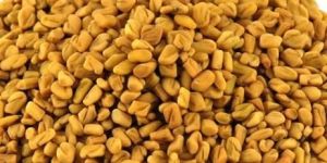 Organic Methi Seeds