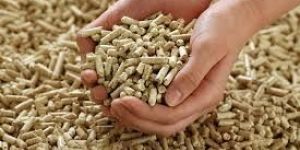 Wood Pellets
