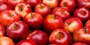 Fresh Red Apple