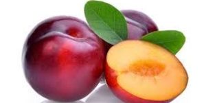 Fresh Plum