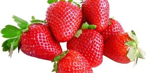 Fresh Strawberry