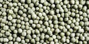 Dried Green Pea