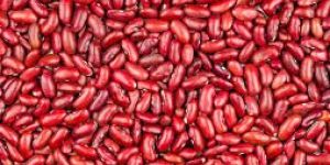 Red Kidney Beans