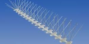 Bird Spike