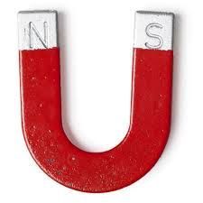 Labappara Horse Shoe Magnet